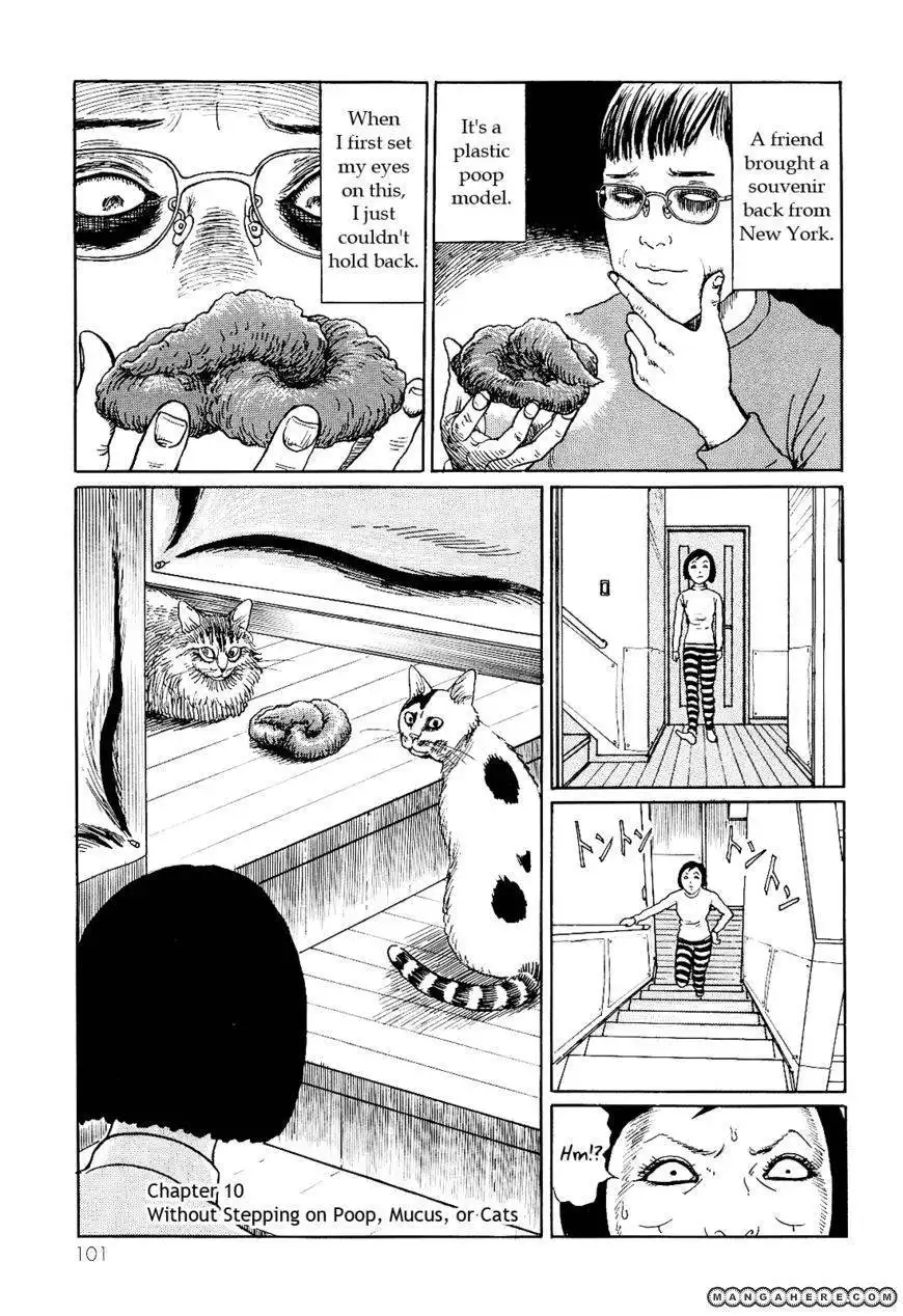 Ito Junji's Cat Diary Chapter 10 1